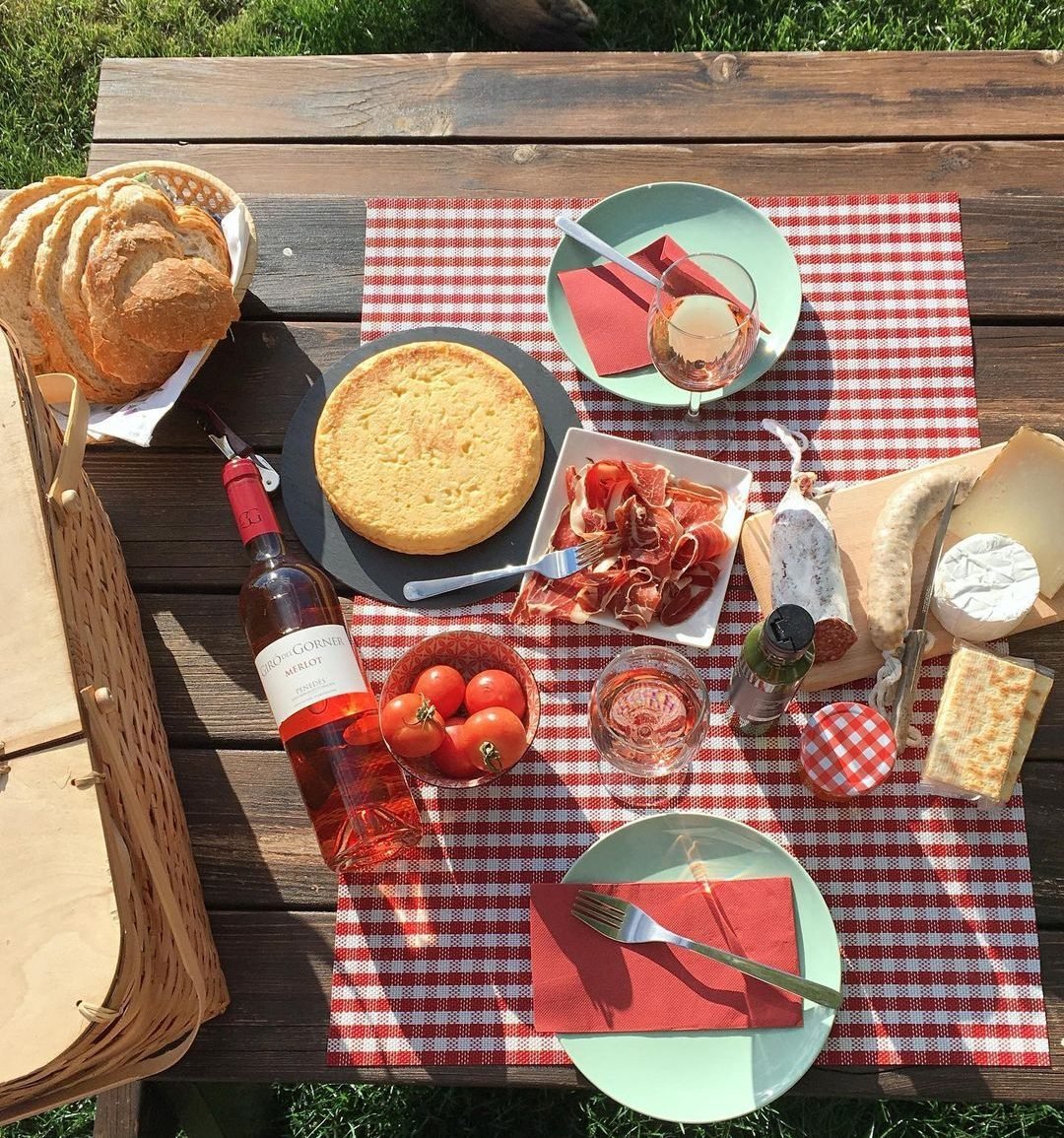 picnic with a view of the vineyards